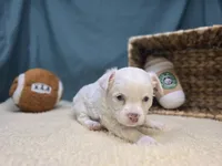 processed/ce1108ba-9929-49da-86cd-04a9cca21cec/listing/6f4de9e2-bb64-4adb-9c43-abd116a28013/5f03ec54-24b1-4087-bcd9-b0ce4e73c70c