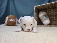 processed/ce1108ba-9929-49da-86cd-04a9cca21cec/listing/6f4de9e2-bb64-4adb-9c43-abd116a28013/ae063f39-aaef-4cd4-ba52-97954a7b6be0