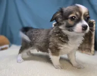 processed/ce1108ba-9929-49da-86cd-04a9cca21cec/listing/768a3a30-d1d2-40fd-8eb5-3ace3a2a7448/3e4683c9-6983-439e-bf39-d8ff0e01e1ad