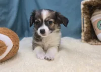 processed/ce1108ba-9929-49da-86cd-04a9cca21cec/listing/768a3a30-d1d2-40fd-8eb5-3ace3a2a7448/4f05e019-ce99-48a4-81bc-4a30584b6652