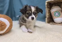 processed/ce1108ba-9929-49da-86cd-04a9cca21cec/listing/768a3a30-d1d2-40fd-8eb5-3ace3a2a7448/a0bec3cd-e579-47c1-9d01-28a8f660596b