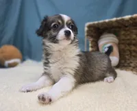 processed/ce1108ba-9929-49da-86cd-04a9cca21cec/listing/768a3a30-d1d2-40fd-8eb5-3ace3a2a7448/b6e07355-7144-419f-a6a1-e0cd4b5dbbeb