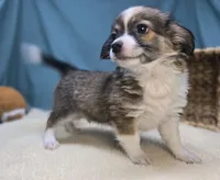 processed/ce1108ba-9929-49da-86cd-04a9cca21cec/listing/768a3a30-d1d2-40fd-8eb5-3ace3a2a7448/d9a10834-2ca7-42f7-8672-cf05ff87c98b