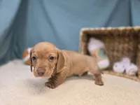 processed/ce1108ba-9929-49da-86cd-04a9cca21cec/listing/b96e1de4-6ca5-4267-96db-990654161619/915c0c40-a215-4b3e-b3cd-ed17d7328b8f