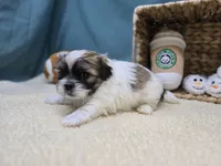 processed/ce1108ba-9929-49da-86cd-04a9cca21cec/listing/c3e901d8-8d8c-471a-8c85-a3d1a32a94f0/bff99ded-2df1-4105-b8e7-1be4dc31d736