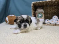 processed/ce1108ba-9929-49da-86cd-04a9cca21cec/listing/c3e901d8-8d8c-471a-8c85-a3d1a32a94f0/fc8c4128-41fe-41bd-9898-ae1fae1d6246