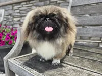 processed/ce1108ba-9929-49da-86cd-04a9cca21cec/listing/cffdeb2d-7d1e-4c84-8962-12200d734204/030135a5-2f95-4cb7-8f6e-13d417d96f3d