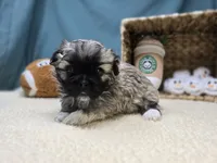 processed/ce1108ba-9929-49da-86cd-04a9cca21cec/listing/cffdeb2d-7d1e-4c84-8962-12200d734204/18b60c04-8827-47da-88e2-d1242d73893e