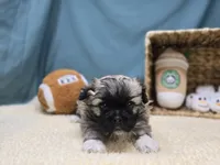 processed/ce1108ba-9929-49da-86cd-04a9cca21cec/listing/cffdeb2d-7d1e-4c84-8962-12200d734204/49ae64bf-7274-44d0-a818-19e053cdd5f4