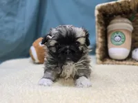 processed/ce1108ba-9929-49da-86cd-04a9cca21cec/listing/cffdeb2d-7d1e-4c84-8962-12200d734204/80378330-9502-49c5-9bd3-9d6ee29c8f7d