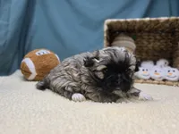 processed/ce1108ba-9929-49da-86cd-04a9cca21cec/listing/cffdeb2d-7d1e-4c84-8962-12200d734204/9d9b01f6-7616-47db-ba6f-aaaf06160215