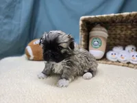 processed/ce1108ba-9929-49da-86cd-04a9cca21cec/listing/cffdeb2d-7d1e-4c84-8962-12200d734204/f6c4ee20-1e26-4fb8-90a0-ba87d67f36a4