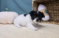 processed/ce1108ba-9929-49da-86cd-04a9cca21cec/listing/d37168c2-f42f-4f26-a780-0f58945a314b/302447a3-27da-4e5b-a452-00aafd16feff