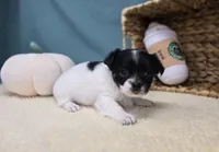 processed/ce1108ba-9929-49da-86cd-04a9cca21cec/listing/d37168c2-f42f-4f26-a780-0f58945a314b/3f60360f-a4bf-41e4-a060-2d62d60c8e78