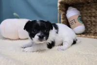 processed/ce1108ba-9929-49da-86cd-04a9cca21cec/listing/d37168c2-f42f-4f26-a780-0f58945a314b/981cccd4-44fa-43fb-8854-137c13623cd4