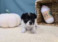 processed/ce1108ba-9929-49da-86cd-04a9cca21cec/listing/d37168c2-f42f-4f26-a780-0f58945a314b/ac51efeb-4989-403d-9ad1-8702380be5b8