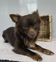 processed/ce1108ba-9929-49da-86cd-04a9cca21cec/listing/d37168c2-f42f-4f26-a780-0f58945a314b/b04d6787-4140-4733-9fb2-d7e4d96e1634