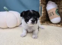 processed/ce1108ba-9929-49da-86cd-04a9cca21cec/listing/d37168c2-f42f-4f26-a780-0f58945a314b/d05ebaac-3473-405f-89e3-b1319de63ca5