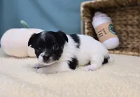 processed/ce1108ba-9929-49da-86cd-04a9cca21cec/listing/d37168c2-f42f-4f26-a780-0f58945a314b/fb69b1d0-139b-45f5-90e8-90c8e2e0bb9c