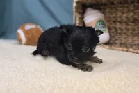 processed/ce1108ba-9929-49da-86cd-04a9cca21cec/listing/e486e208-ddec-48a6-ac9b-9cc22b80ebb7/7f1aa041-6bcb-4616-8693-951519f83db8