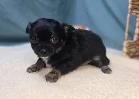 processed/ce1108ba-9929-49da-86cd-04a9cca21cec/listing/e486e208-ddec-48a6-ac9b-9cc22b80ebb7/bd2b7094-726b-433e-9d9f-365c86749cce