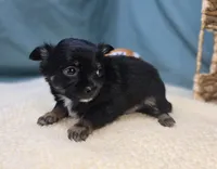 processed/ce1108ba-9929-49da-86cd-04a9cca21cec/listing/e486e208-ddec-48a6-ac9b-9cc22b80ebb7/c6d261e2-928f-4f06-926f-3ce431c89473