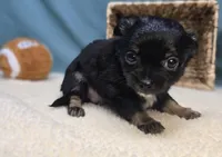 processed/ce1108ba-9929-49da-86cd-04a9cca21cec/listing/e486e208-ddec-48a6-ac9b-9cc22b80ebb7/c96b3cec-3f37-4b5e-937e-6825adad9a01