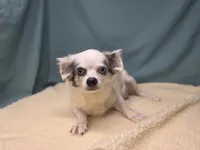 processed/ce1108ba-9929-49da-86cd-04a9cca21cec/listing/e486e208-ddec-48a6-ac9b-9cc22b80ebb7/d1d4cf7c-0404-4cb4-9d2e-0c2d63ecbb90