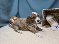 processed/ce1108ba-9929-49da-86cd-04a9cca21cec/listing/ebf11edb-0c4a-4f1e-ad21-cf477886c4f0/34e868ab-6cf0-4ee7-9768-4b1b889f0c10