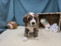 processed/ce1108ba-9929-49da-86cd-04a9cca21cec/listing/ebf11edb-0c4a-4f1e-ad21-cf477886c4f0/9ba23839-1564-4a76-bbe8-bcaa6544ad8d