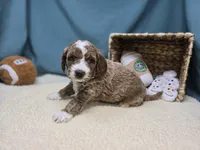 processed/ce1108ba-9929-49da-86cd-04a9cca21cec/listing/ebf11edb-0c4a-4f1e-ad21-cf477886c4f0/9fb7b17e-2822-4768-95f3-696be56288fe