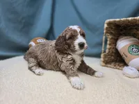 processed/ce1108ba-9929-49da-86cd-04a9cca21cec/listing/ebf11edb-0c4a-4f1e-ad21-cf477886c4f0/b1e15d74-98e0-49e0-b97f-9d0750d48b9d