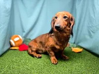 processed/ce1108ba-9929-49da-86cd-04a9cca21cec/listing/edfd58a1-3c6f-427a-a9ce-9f687de1cc73/0052e287-a1ed-4d4b-b1dc-31c9d24a4255