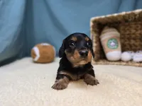 processed/ce1108ba-9929-49da-86cd-04a9cca21cec/listing/edfd58a1-3c6f-427a-a9ce-9f687de1cc73/6733f34d-6bfb-47ac-98b2-3d30737dfc05