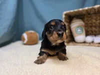 processed/ce1108ba-9929-49da-86cd-04a9cca21cec/listing/edfd58a1-3c6f-427a-a9ce-9f687de1cc73/73ee054e-b296-40ba-9654-545c5086bb6b