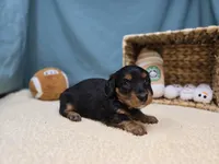 processed/ce1108ba-9929-49da-86cd-04a9cca21cec/listing/edfd58a1-3c6f-427a-a9ce-9f687de1cc73/9dc33fe6-9bdd-43ba-bd40-6c7a412661ec