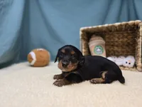 processed/ce1108ba-9929-49da-86cd-04a9cca21cec/listing/edfd58a1-3c6f-427a-a9ce-9f687de1cc73/d1958ce1-7f35-4210-94ae-34b32bef65a8