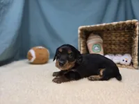 processed/ce1108ba-9929-49da-86cd-04a9cca21cec/listing/edfd58a1-3c6f-427a-a9ce-9f687de1cc73/e35830ca-bef4-42da-bb7e-40ef949cd684