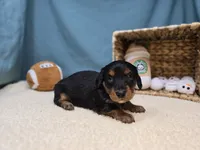 processed/ce1108ba-9929-49da-86cd-04a9cca21cec/listing/edfd58a1-3c6f-427a-a9ce-9f687de1cc73/f8fdeb4e-961a-4d94-851d-b93635eda30f