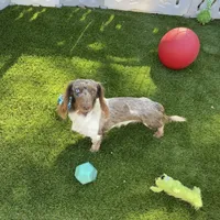 processed/ce12e81d-a651-46c9-b364-0054662e6359/facility/2815a0c1-8f96-4f4e-8f0c-2308b43a7ae4