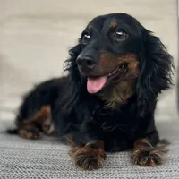 processed/ce12e81d-a651-46c9-b364-0054662e6359/facility/295813c0-7c10-4e6c-af01-9c7a1049a94b