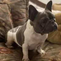 processed/ce12e81d-a651-46c9-b364-0054662e6359/facility/2c6d4f7a-aeb5-47af-9fe1-7b1c167d6707