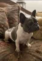 processed/ce12e81d-a651-46c9-b364-0054662e6359/facility/2c6d4f7a-aeb5-47af-9fe1-7b1c167d6707