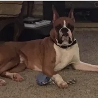 processed/ce12e81d-a651-46c9-b364-0054662e6359/facility/6f5e18d3-d0ce-4e19-9679-11b92762e19c