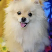 processed/ce12e81d-a651-46c9-b364-0054662e6359/facility/717da054-953f-4917-9737-aa03c93fee31