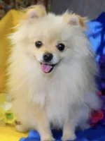 processed/ce12e81d-a651-46c9-b364-0054662e6359/facility/717da054-953f-4917-9737-aa03c93fee31