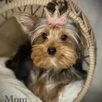 processed/ce12e81d-a651-46c9-b364-0054662e6359/facility/8d5753b1-39d0-4d6e-b882-6ef06b0fc775