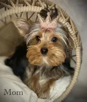 processed/ce12e81d-a651-46c9-b364-0054662e6359/facility/8d5753b1-39d0-4d6e-b882-6ef06b0fc775