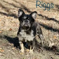 processed/ce12e81d-a651-46c9-b364-0054662e6359/facility/c3740885-0c63-47c3-8985-506d57c73e5a