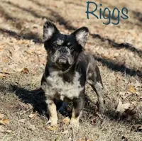 processed/ce12e81d-a651-46c9-b364-0054662e6359/facility/c3740885-0c63-47c3-8985-506d57c73e5a